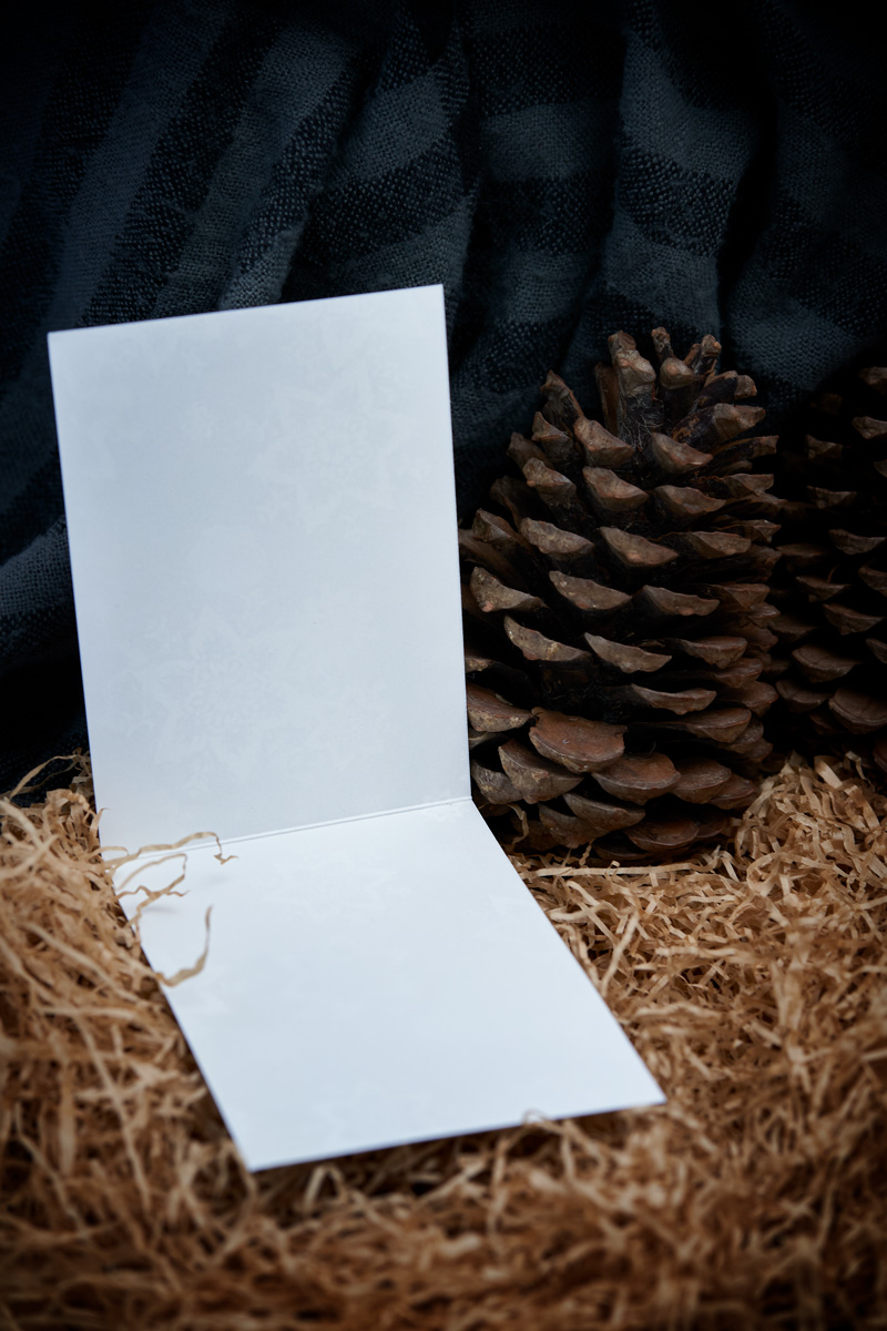 Postal de navidad WOP - Imagen 4